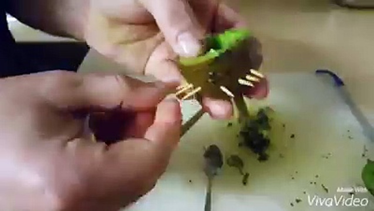 Making shisha with kiwi