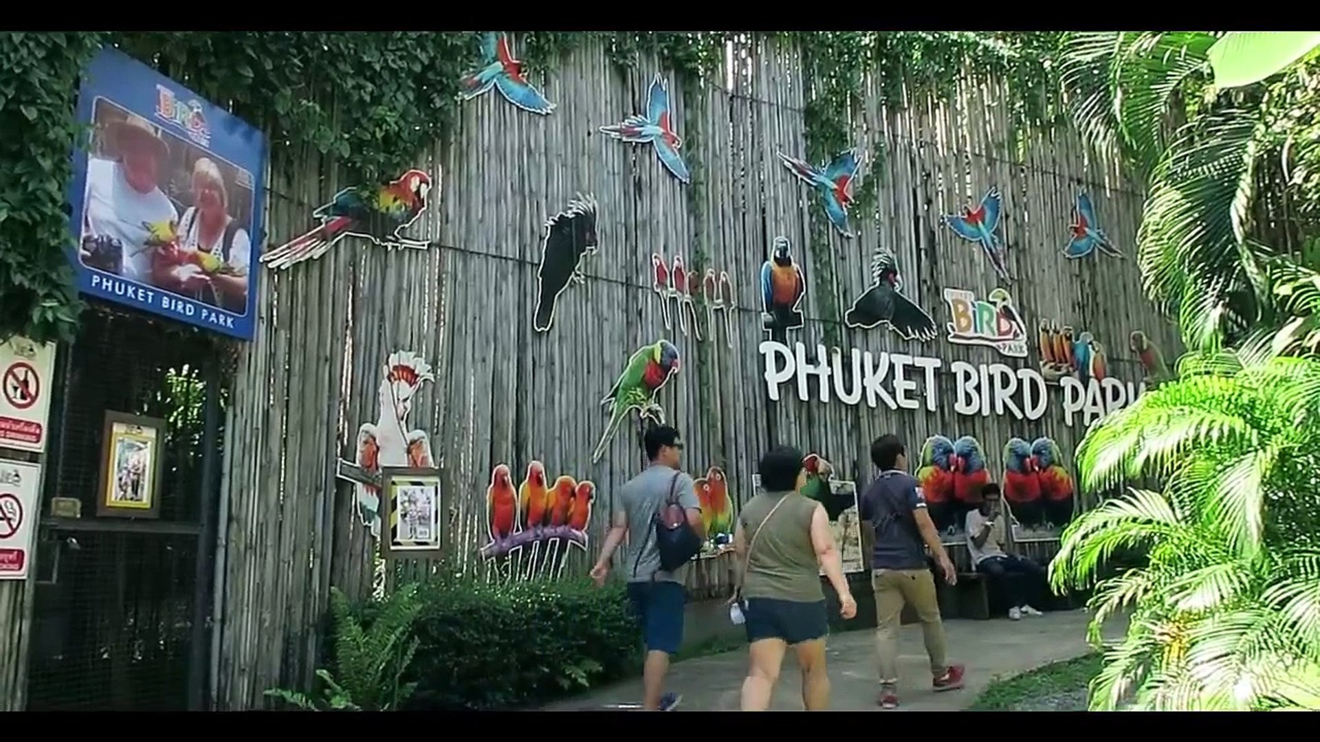 ⁣Парк птиц на Пхукете - Phuket Bird Park