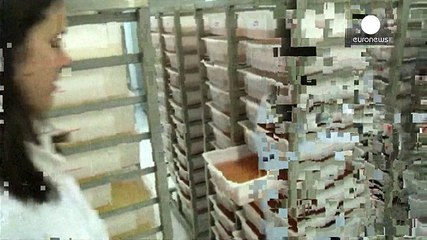 Zika : les autorités sanitaires américaines tirent la sonnette d'alarme