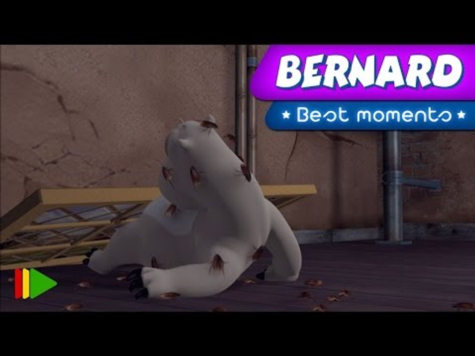 Bernard Bear | "Insect Bernard" | Best Moments