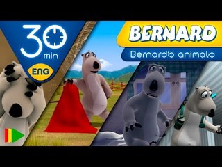 Bernard Bear | Bernard's Animals | 30 minutes