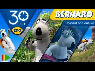 Bernard Bear | Bernard and nature (Special Collection 03) | 30 minutes