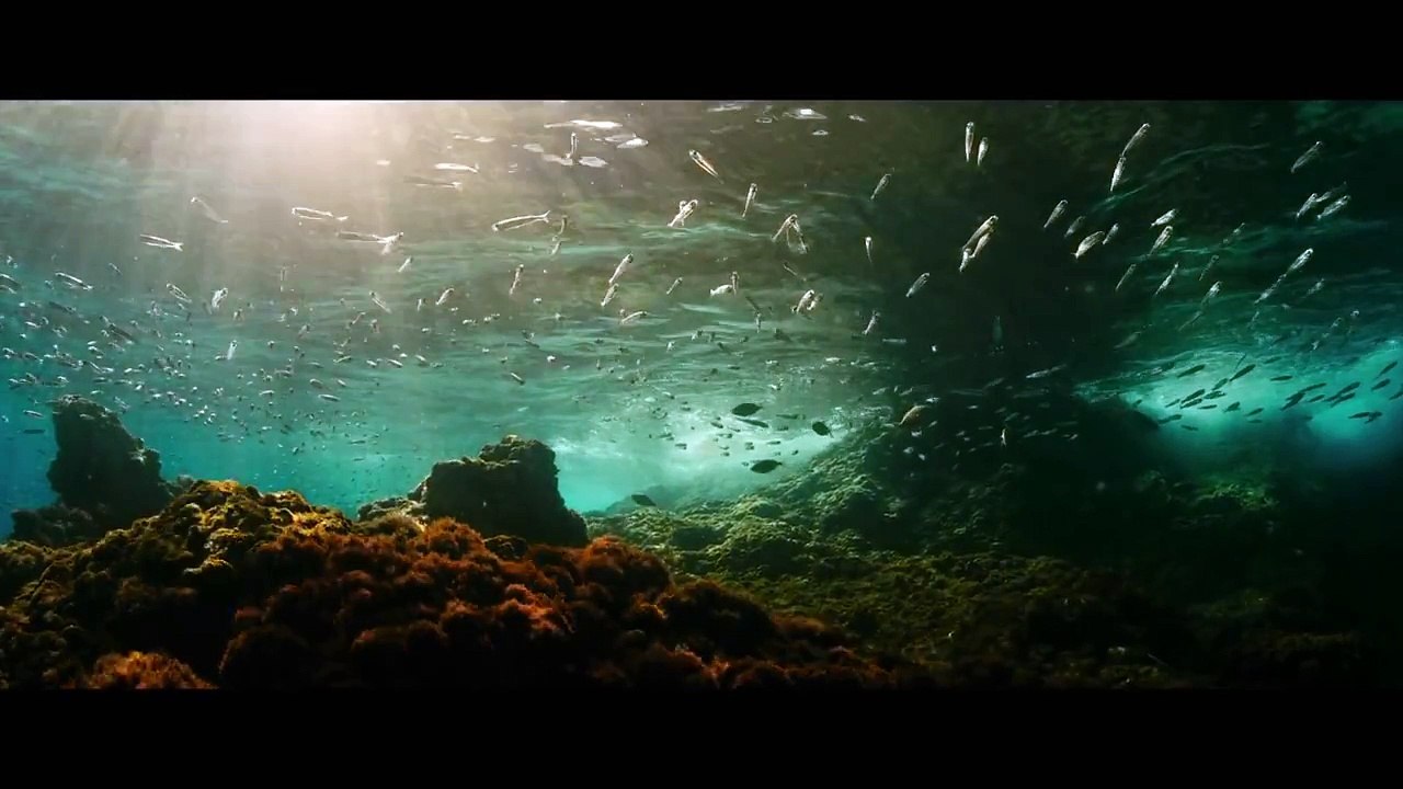 Evrim 2016 Full Fragman