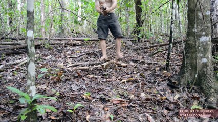 Building a tiled roof hut