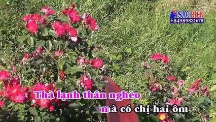 Karaoke DM Ngoại Là Mẹ, Mẹ Là Chị Hai Ver 2 (Diệp Hoài Ngọc)