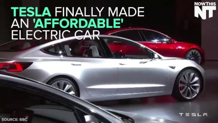 Everyone's Losing It Over Tesla's Model 3