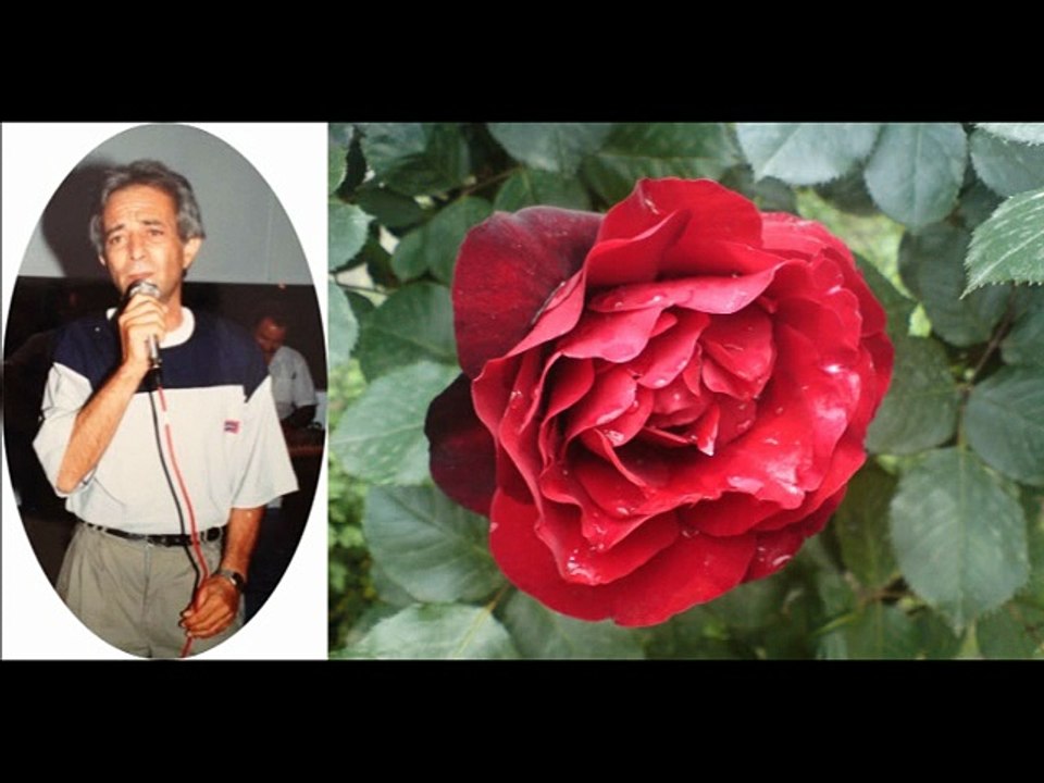 Zeki Müren-O Ağacın Altı