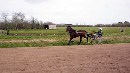 EMERAUDE DE NESLE EN PISTE