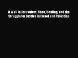 Download A Wall in Jerusalem: Hope Healing and the Struggle for Justice in Israel and Palestine
