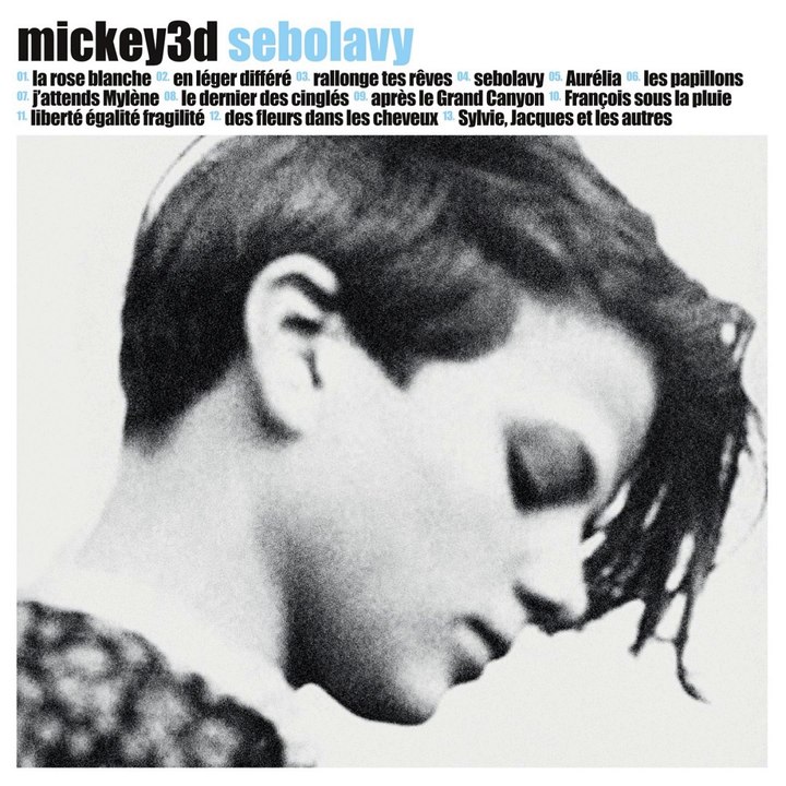 Michey 3d  - Les papillons