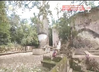 Za głosem serca 31/197