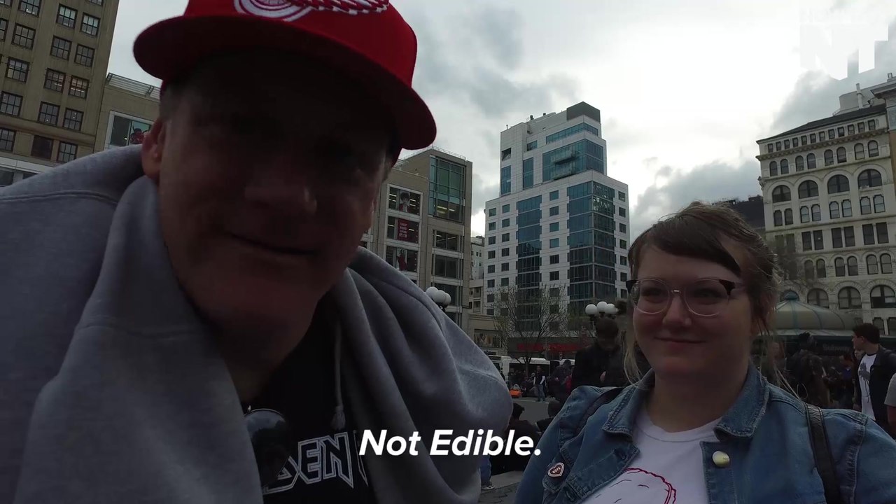 Bernie Sanders Supporters Tell Us What Donald Trump's Ice Cream Flavor Would Be