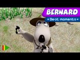 Bernard Bear | 