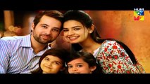 Maan Episode 24 Full HUM TV Drama 1 April 2016