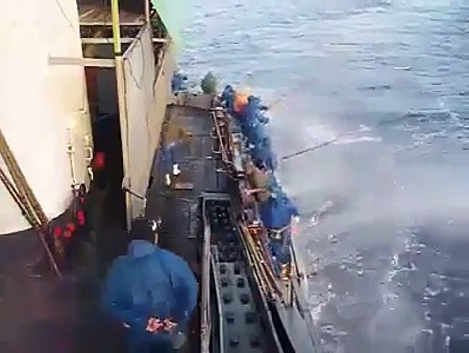 Catching the Fish