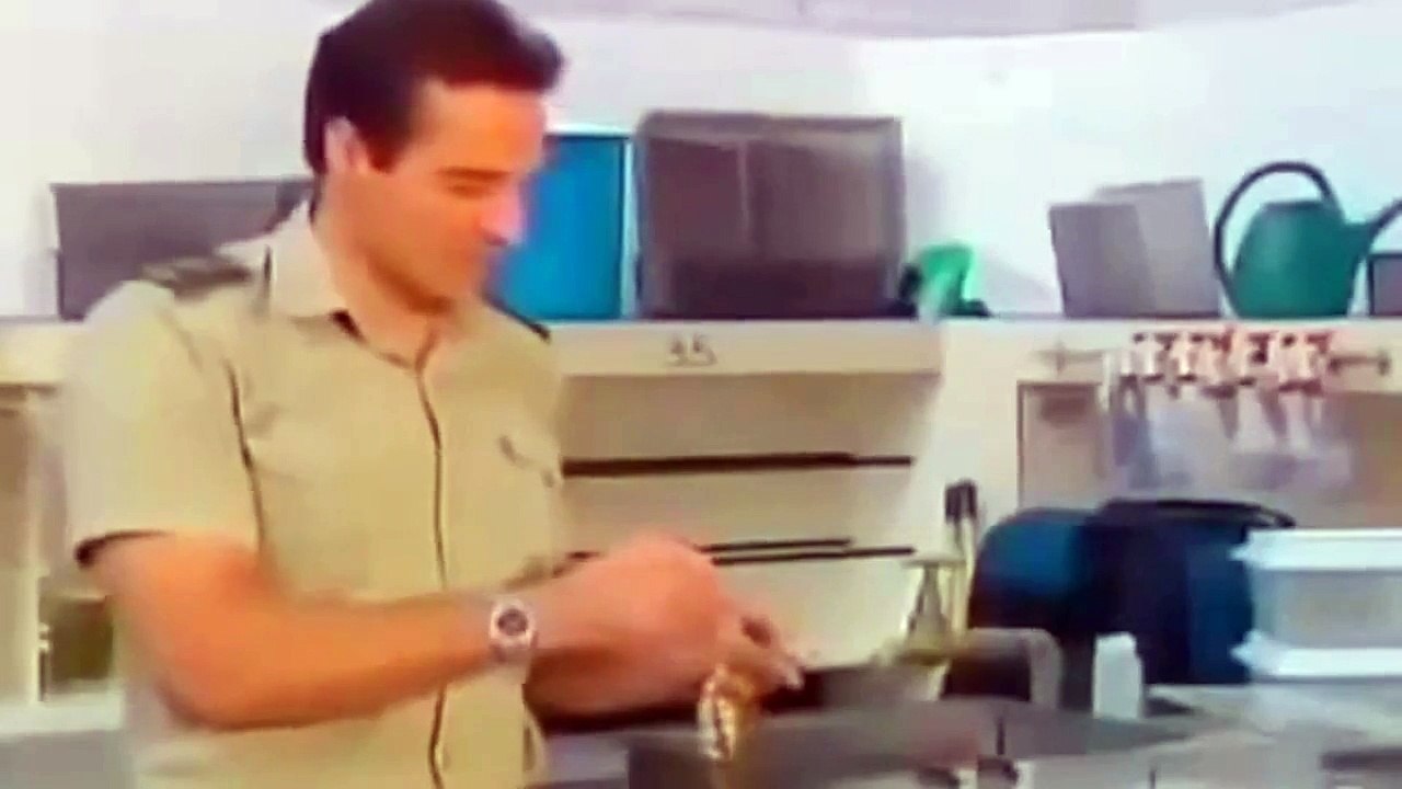 Animals Attack - The Best Battle In Animal History