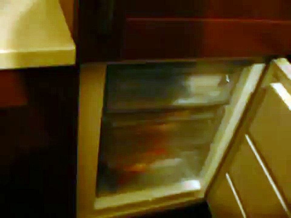 Electrolux ERN 29601