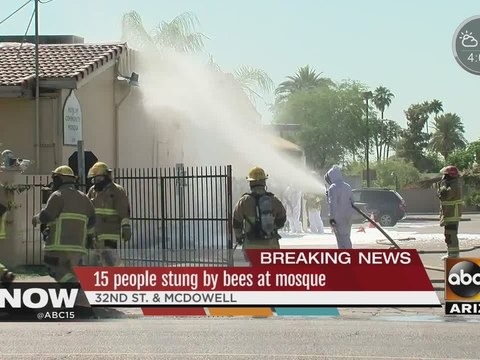 15 people stung by bees at mosque