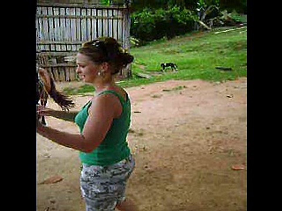 Dando uma voltinha de cavalo...