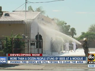 More than a dozen people stung by bees at mosque