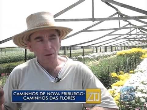 02-10-2015 - CAMINHOS DE NOVA FRIBURGO: CAMINHOS DAS FLORES - ZOOM TV JORNAL