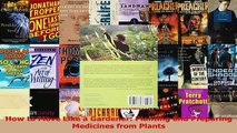PDF  How to Move Like a Gardener Planting and Preparing Medicines from Plants Read Online
