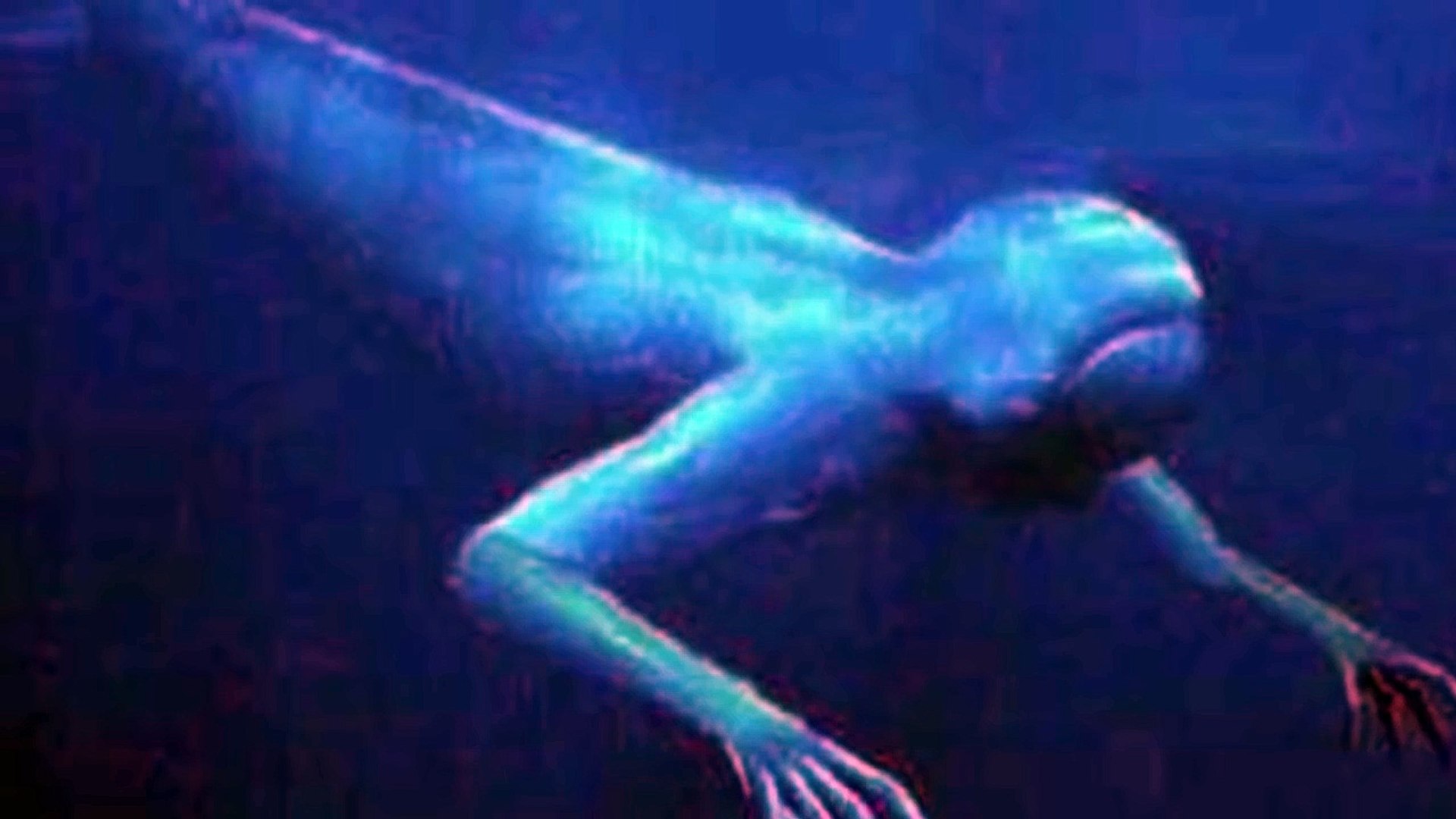 閲覧注意 グーグルアースも捉えたヒトガタ深海魚の恐怖映像 Video Dailymotion