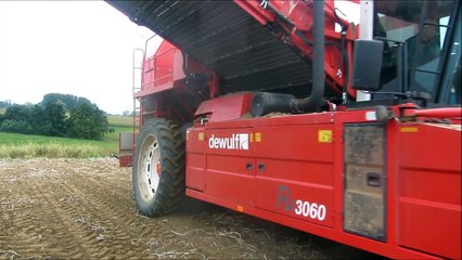 Dewulf RA3060 - Aardappelhoeve uit Tielt