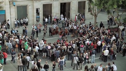 Flashmob Flash Mob