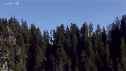 Home Swiss Home (2015) Partie 2