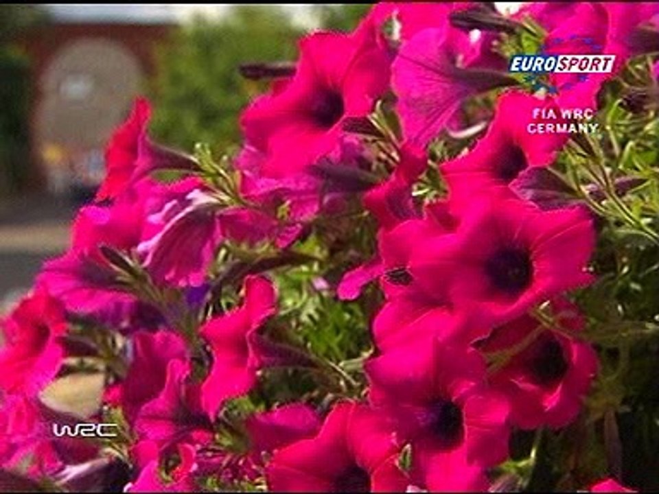 WRC 2005 R11 - Rally Germany Day 2