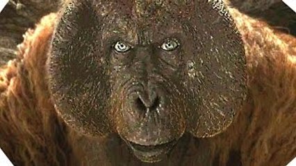 Vidéo 360° - Mowgli dans le temple des singes- LE LIVRE DE LA JUNGLE