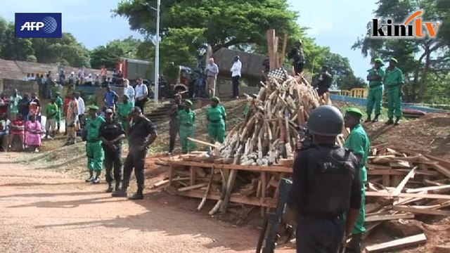 Six tons of ivory publicly burnt in Cameroon