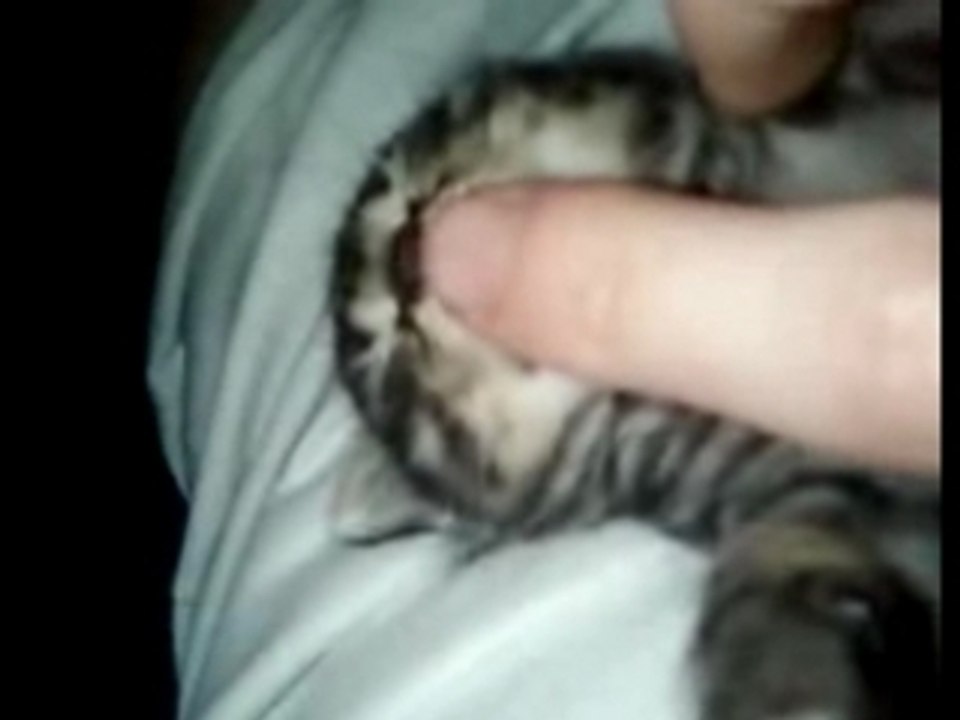 Impossible de dormir!