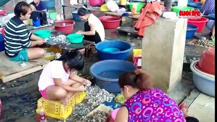 Phát hiện cơ sở chế biến hải sản xả thải ra môi trường
