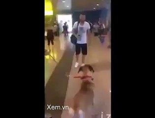 Gặp lại cậu chủ sau nhiều năm xa cách :)