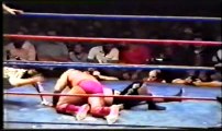 Hulk Hogan vs Mr. Saito and Dr. D. David Schultz