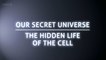 BBC Внутренняя Вселенная: Тайная жизнь клетки / Secret Universe: The Hidden Life of the Cell (2012) HD