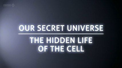 BBC Внутренняя Вселенная: Тайная жизнь клетки / Secret Universe: The Hidden Life of the Cell (2012) HD