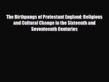 [PDF] The Birthpangs of Protestant England: Religious and Cultural Change in the Sixteenth