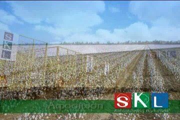 Στέρεα Λόγια 19-4-2016 Μητροπολίτης Θηβών και Λεβαδείας Γεώργιος