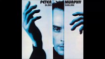 Peter Murphy-Blind sublime  (blind beats mix)