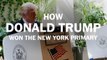 How Donald Trump won the New York primary, in 60 seconds