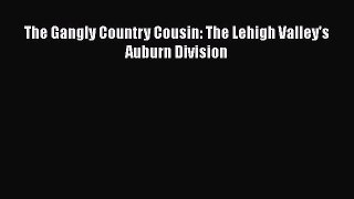 [Read Book] The Gangly Country Cousin: The Lehigh Valley's Auburn Division  Read Online