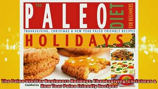 EBOOK ONLINE  The Paleo Diet For Beginners Holidays Thanksgiving Christmas  New Year Paleo Friendly  DOWNLOAD ONLINE