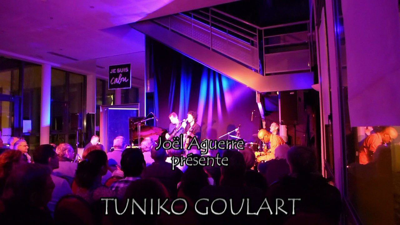 Tuniko Goulart - Back to Brazil 1