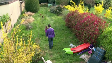 Pet chickens help French families reduce food waste
