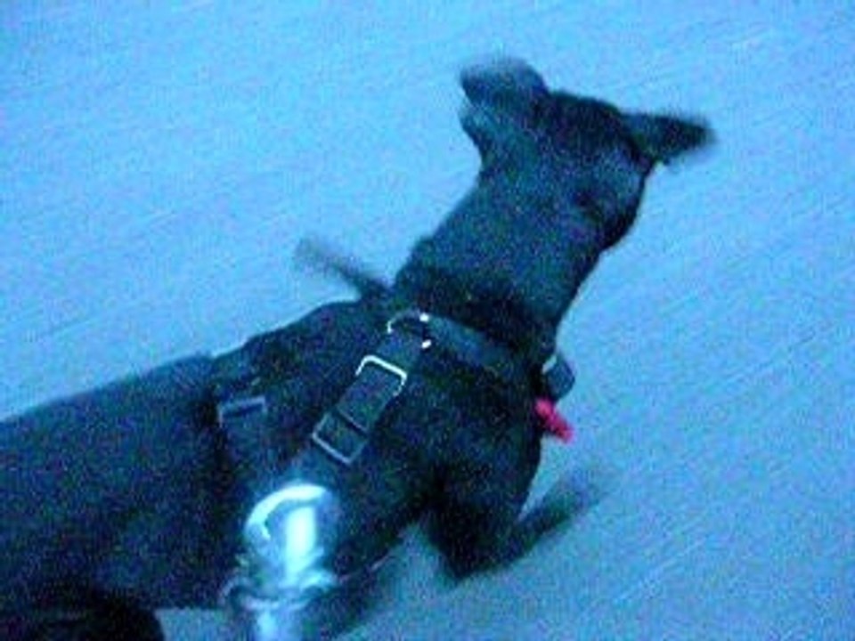 DSCN3576