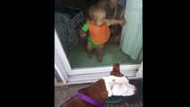 Funny Baby Videos - Baby playing with his pit bull.