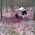 Un promeneur courageux vient en aide à un bélier coincé dans un arbre